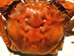 -星伦多自助料理(爱琴海店)