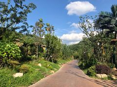 -杭州开元森泊度假乐园