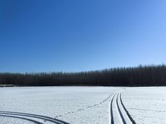 -野鸭湖国家湿地公园