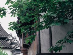 -南翔古镇