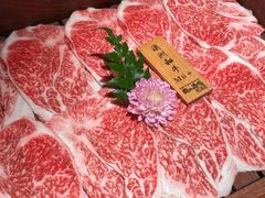 -龙酒场·关西寿喜烧·居酒屋(罗湖店)