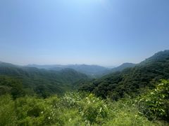 -大岭沟猕猴桃谷风景区