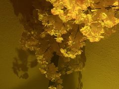 -NINES推理馆·实景侦探推理剧MIXPLAY(静安店)