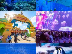 -上海海昌海洋公园