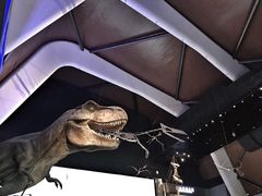 -贝林大翅鲸简餐厅(国家海洋博物馆店)