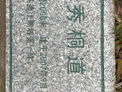 -梧桐山风景名胜区