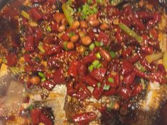 -锦尚阁烤鱼(望京新荟城店)