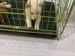 -乐宠宠物店(世纪金源店)