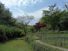 -宁波浙东大竹海景区