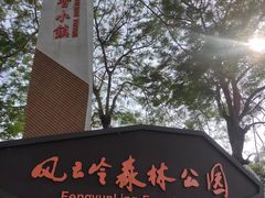 -风云岭森林公园