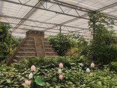 -南宫五洲植物乐园