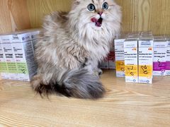 -中农大我爱我爱动物医院·核磁CT·猫病·24小时夜诊中心(石佛营店)