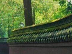 -宝光寺
