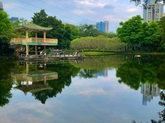 -晓港公园