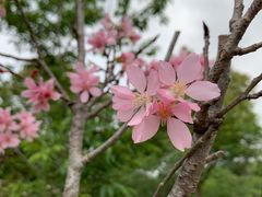 -聚龙山公园