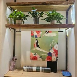 -炼炼有意思·瑜伽·普拉提
