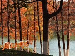 -滨湖塘西河公园
