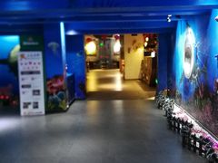 -船奇蒸汽海鲜·闽菜(八市海鲜总店)