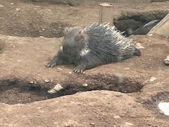 -大青山野生动物园