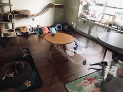 -Meowの猫咖(万家丽店)