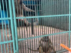 -秦皇岛野生动物园