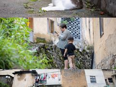 -杨家堂村