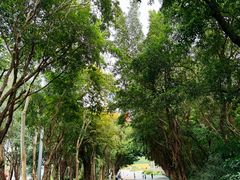 -深圳国际园林花卉博览园