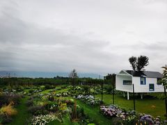 -猫米花园