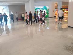 -麦当劳(石坝服务区店)