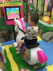 -卡通尼·Safari非洲探索乐园·生日会(金桥国际商业广场店)