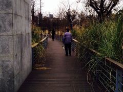 蠡湖中央公园-蠡湖中央公园