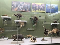 -国家自然博物馆