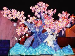 -海合安武汉极地海洋公园