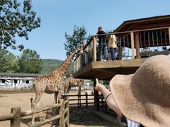 -大连森林动物园