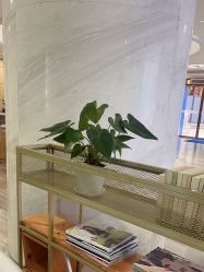 -重庆联合丽格第五医疗美容医院
