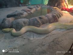 -新疆天山野生动物园