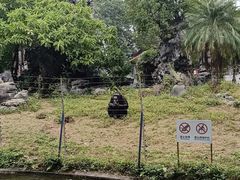 -南宁市动物园