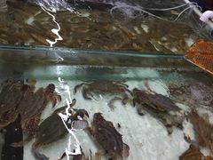 -南戴河海滨市场