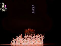 -红舞鞋舞蹈教育(近江校区)