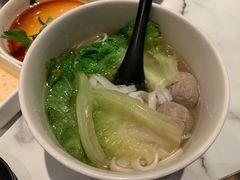 -MR鹅外