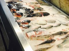 -莆鑫海鲜城(浏河店)