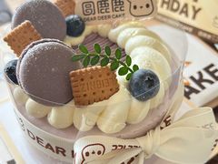 -圆鹿鹿·鲜果半糖蛋糕(常平店)