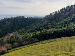 -敬亭山风景名胜区