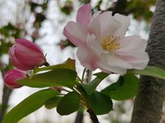 -大兴滨河森林公园