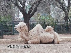 -天津市动物园