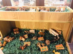 -易门野生菌府·菌海森林(月牙潭公园店)