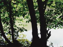 -贵阳市花溪国家城市湿地公园