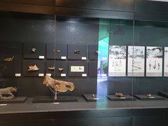-北京周口店北京人遗址博物馆
