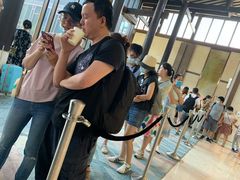 -上海崇明金茂凯悦酒店