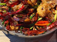 -毛辣果·酸(OHA复兴西路店)